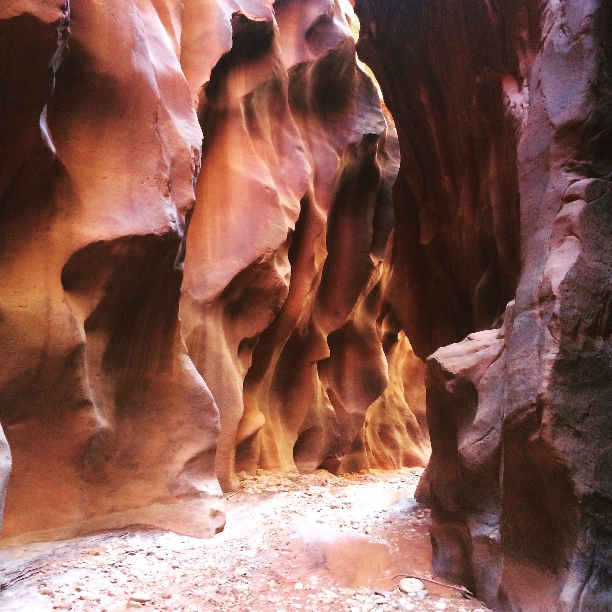 10 things that hiking Buckskin Gulch after a flash flood ...