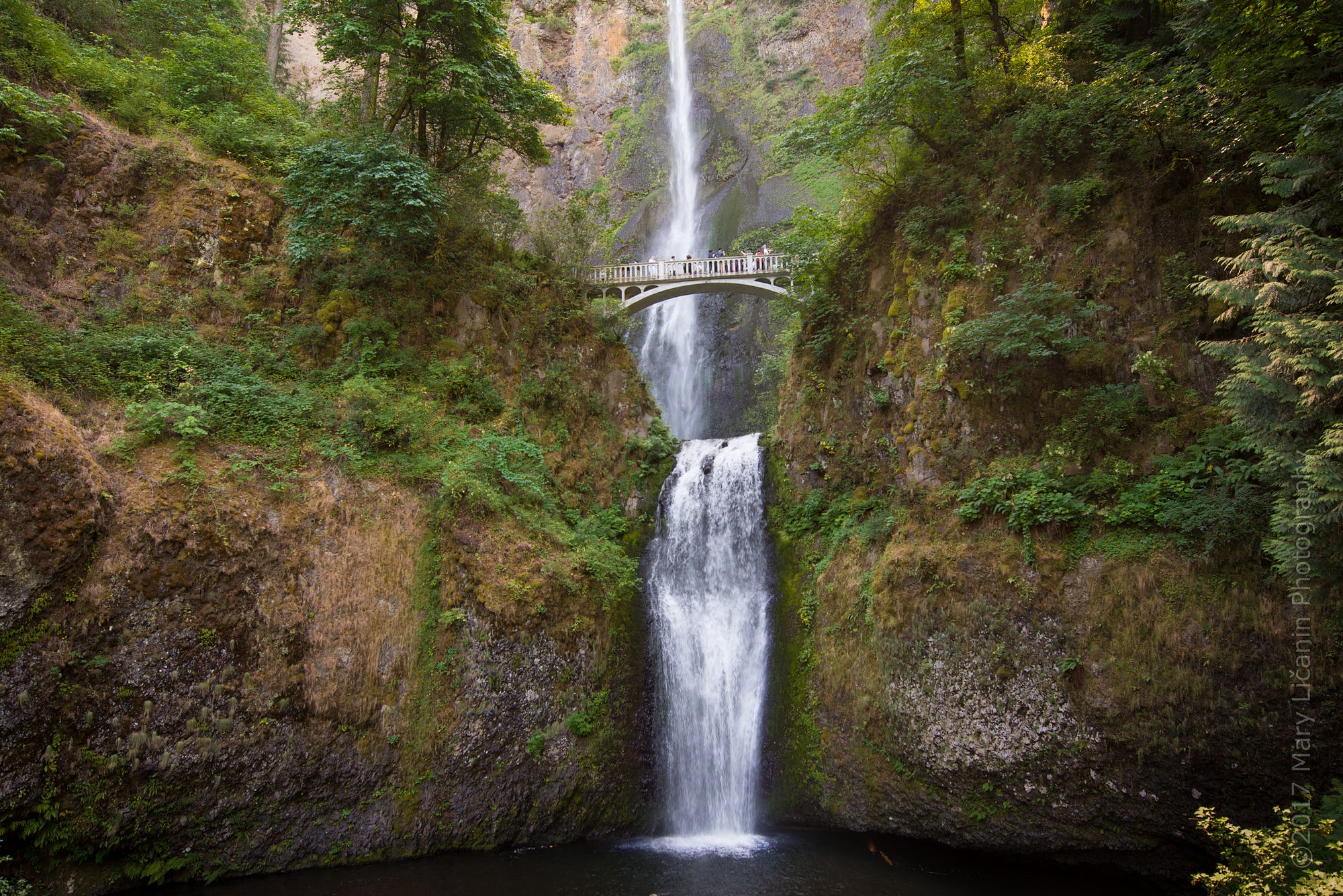 Portland Mount Hood And Waterfalls Tour Mary Ličanin Medium