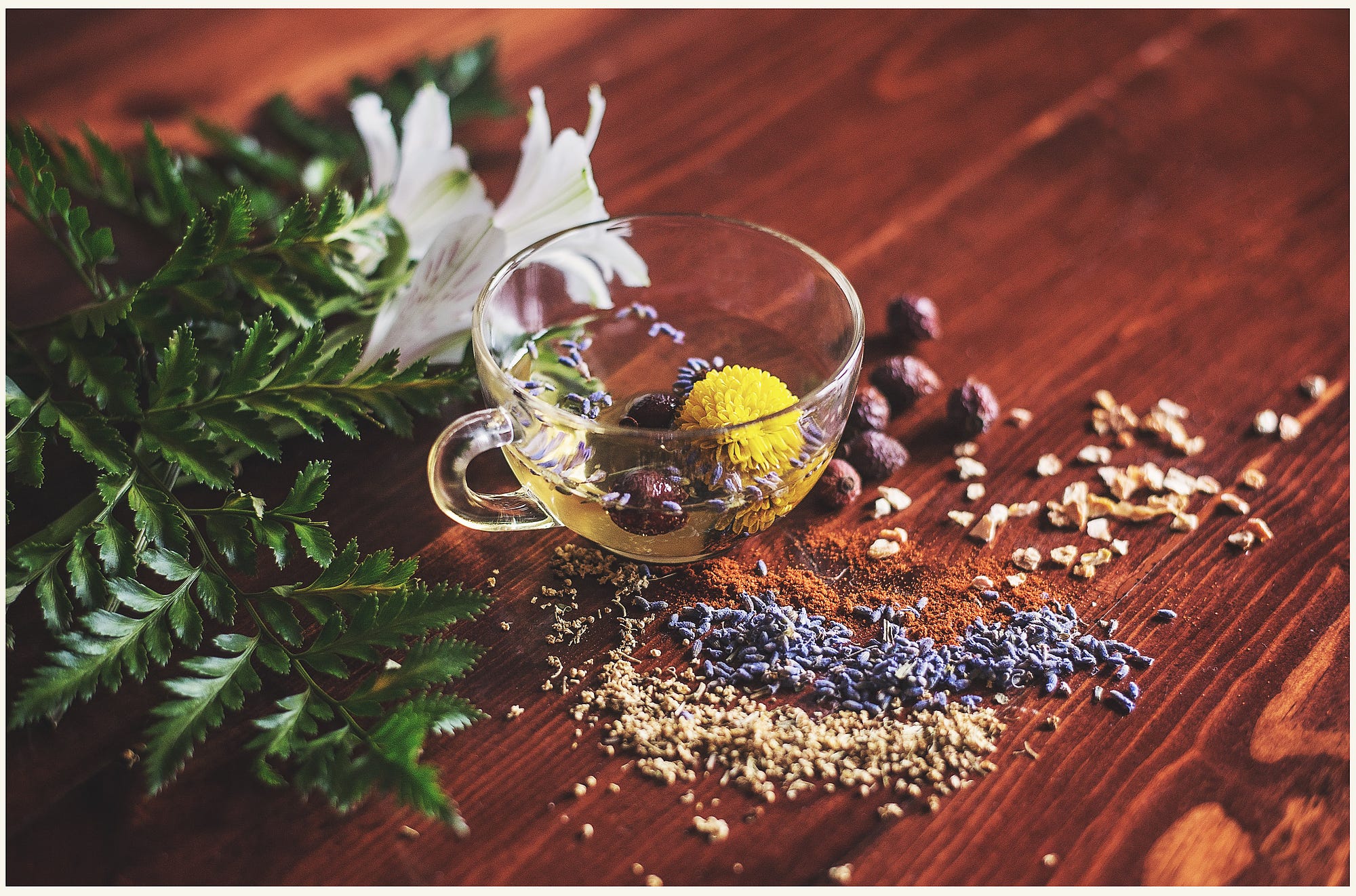 the-beginner-s-guide-to-ayurvedic-herbs-neocell-medium