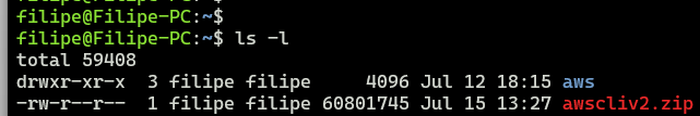 Execute o comando ls -l para listar o conteudo do seu diretório
