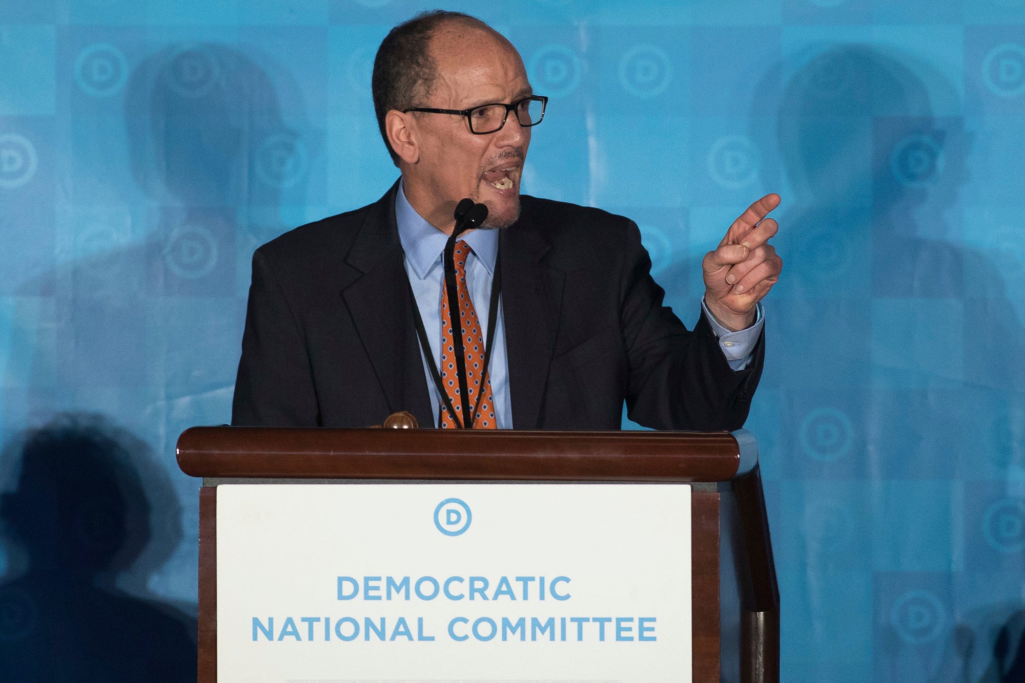 The Member Of The Democratic National Committee