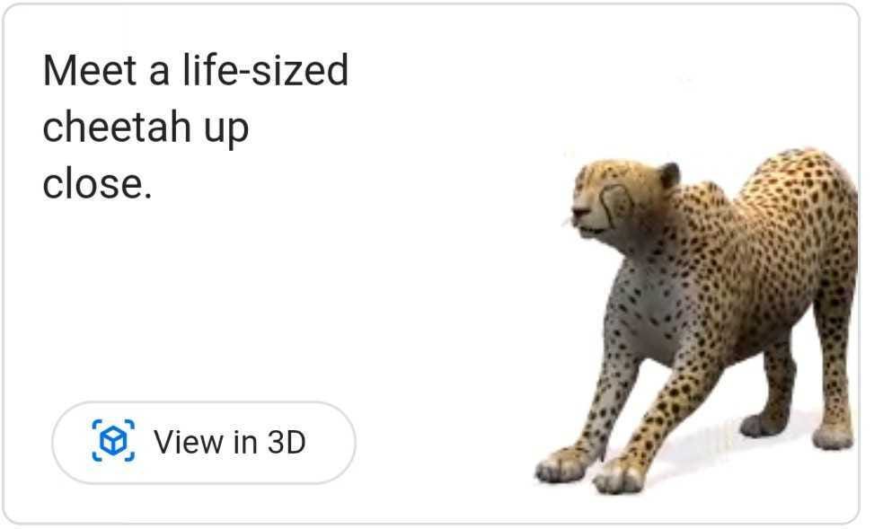 Google Cheetah on your phone right now and experience it in AR