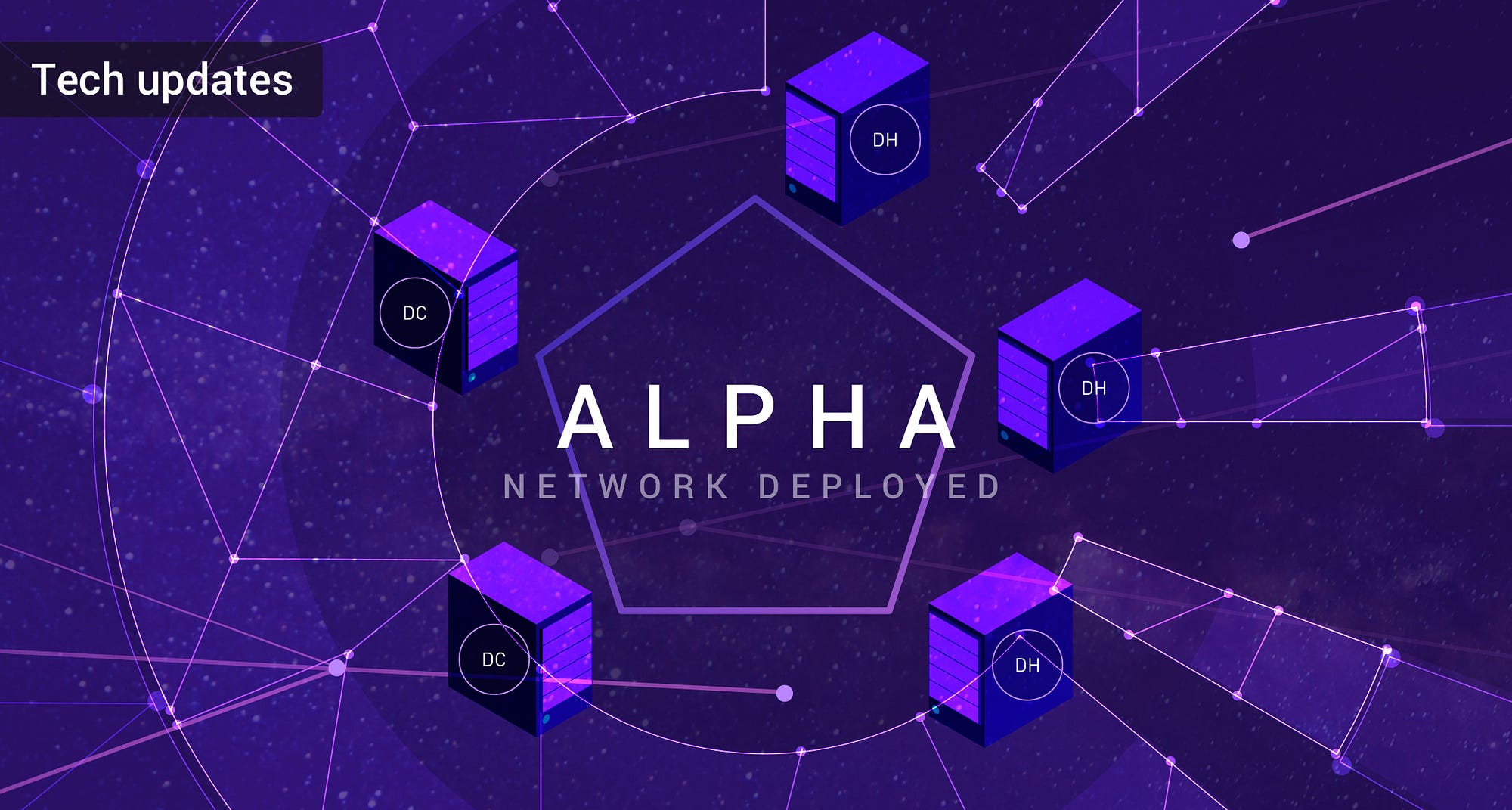 alpha network crypto price