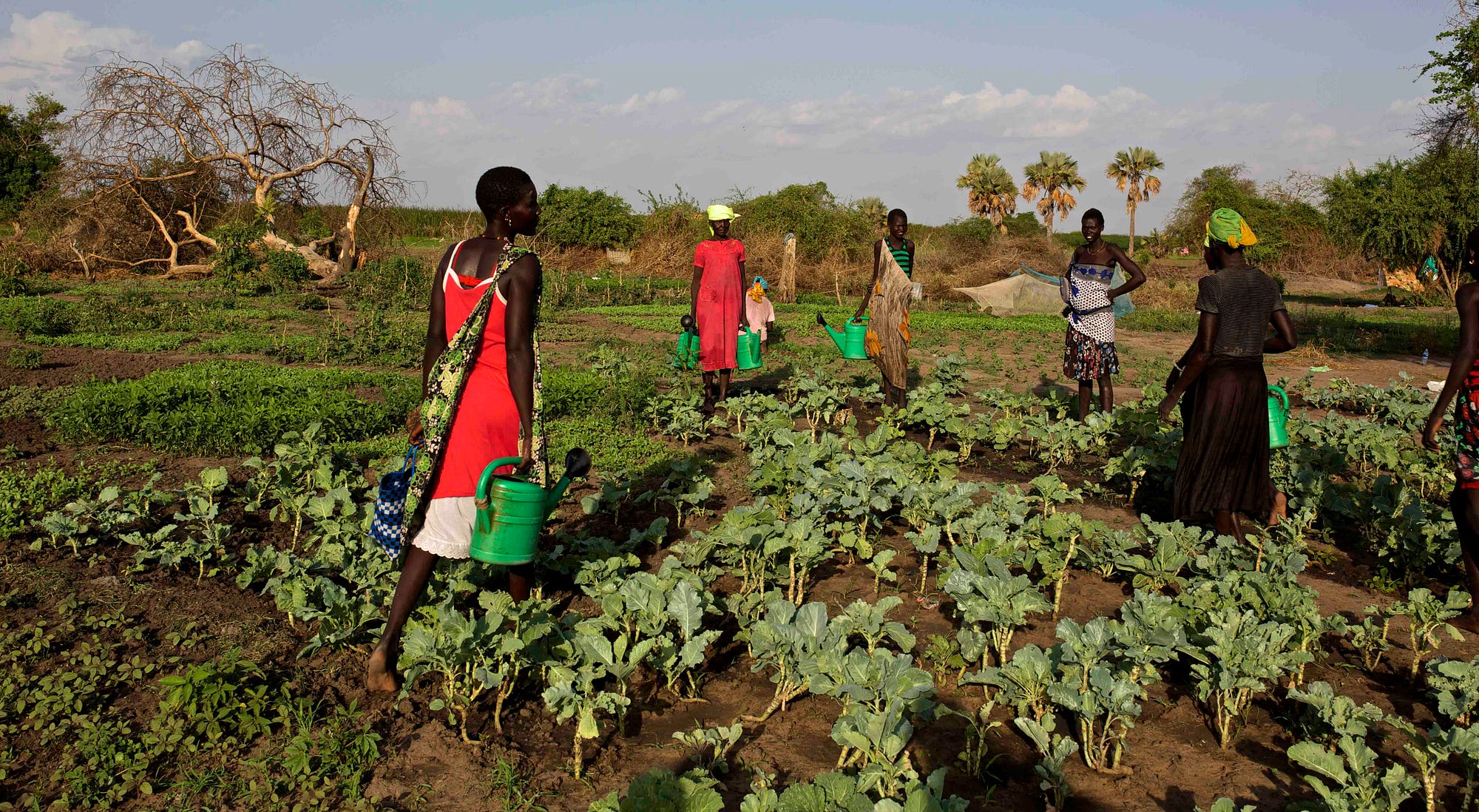 The loud and soft of war in South Sudan — the quiet resilience that ...