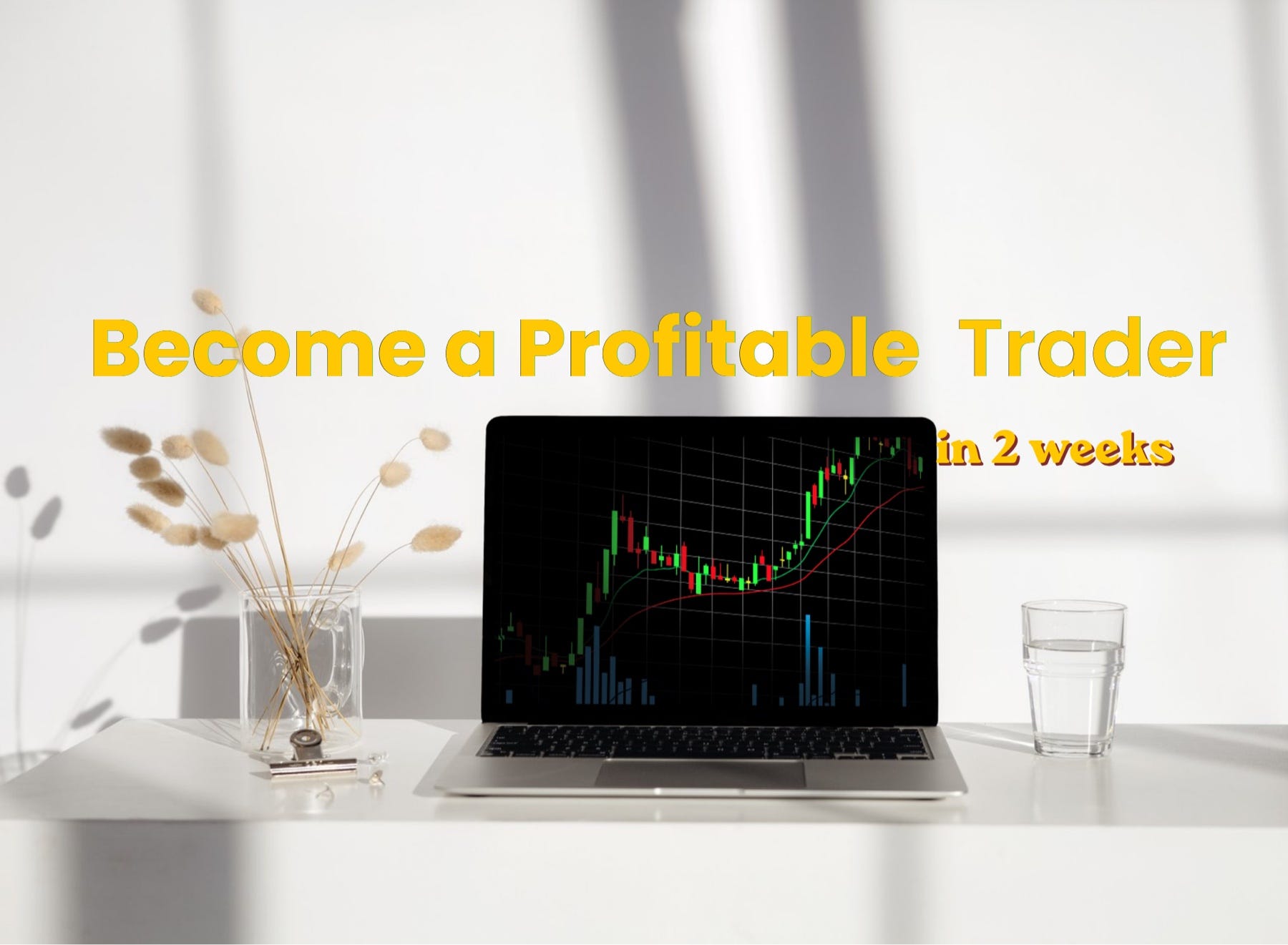 Can You Learn to Trade in 2 Weeks