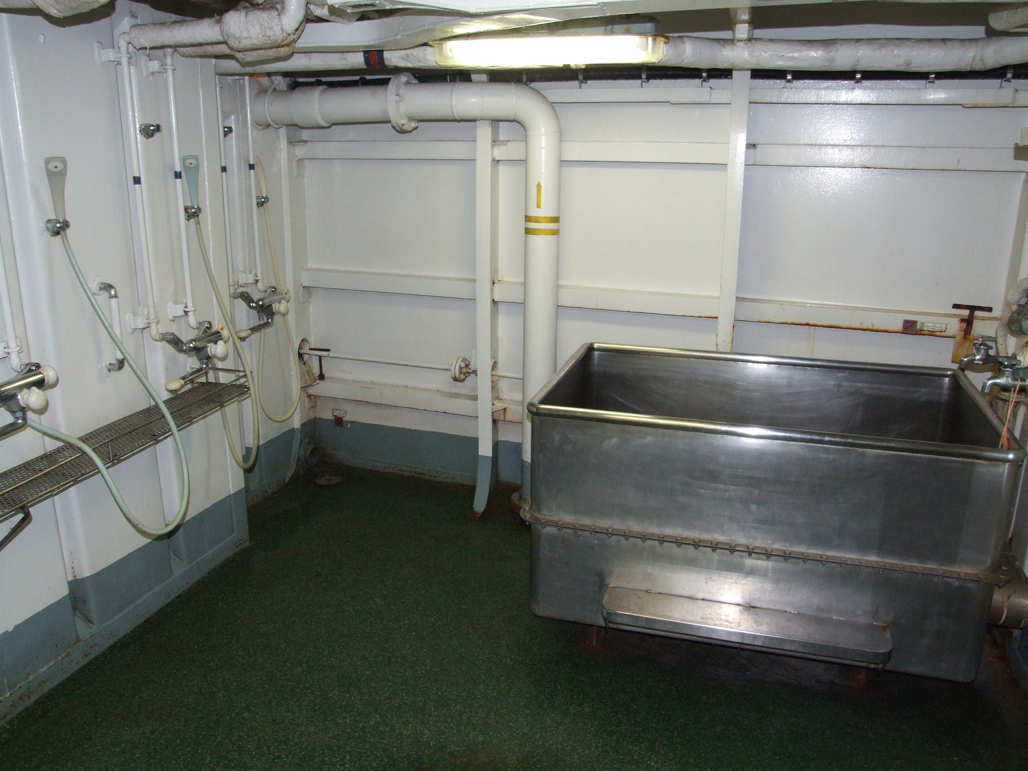 So This Is Weird—Japanese Navy Sailors Bathe in Seawater