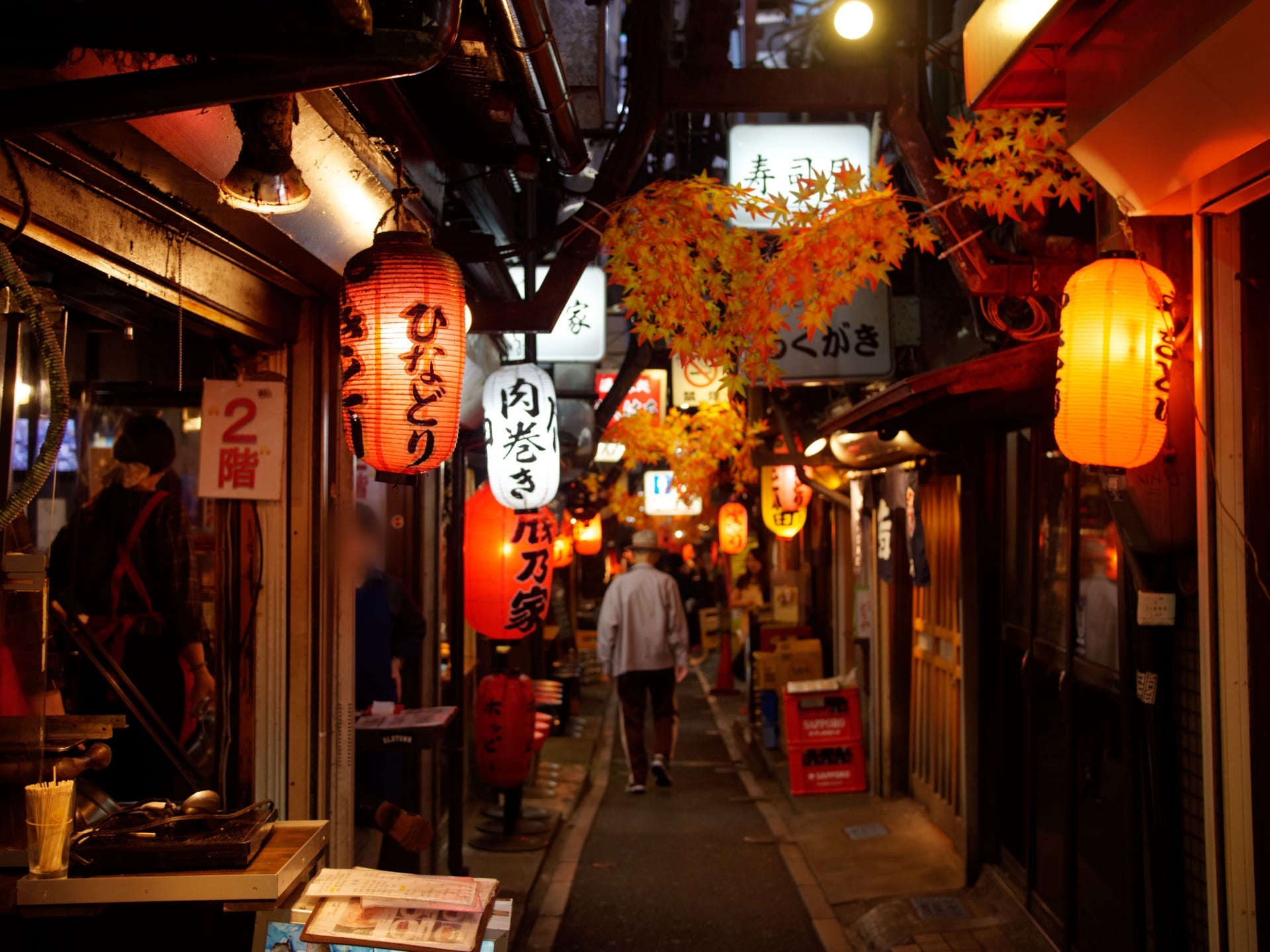 5 Best IZAKAYA Alleys in Tokyo Japan  Travel Guide JW 