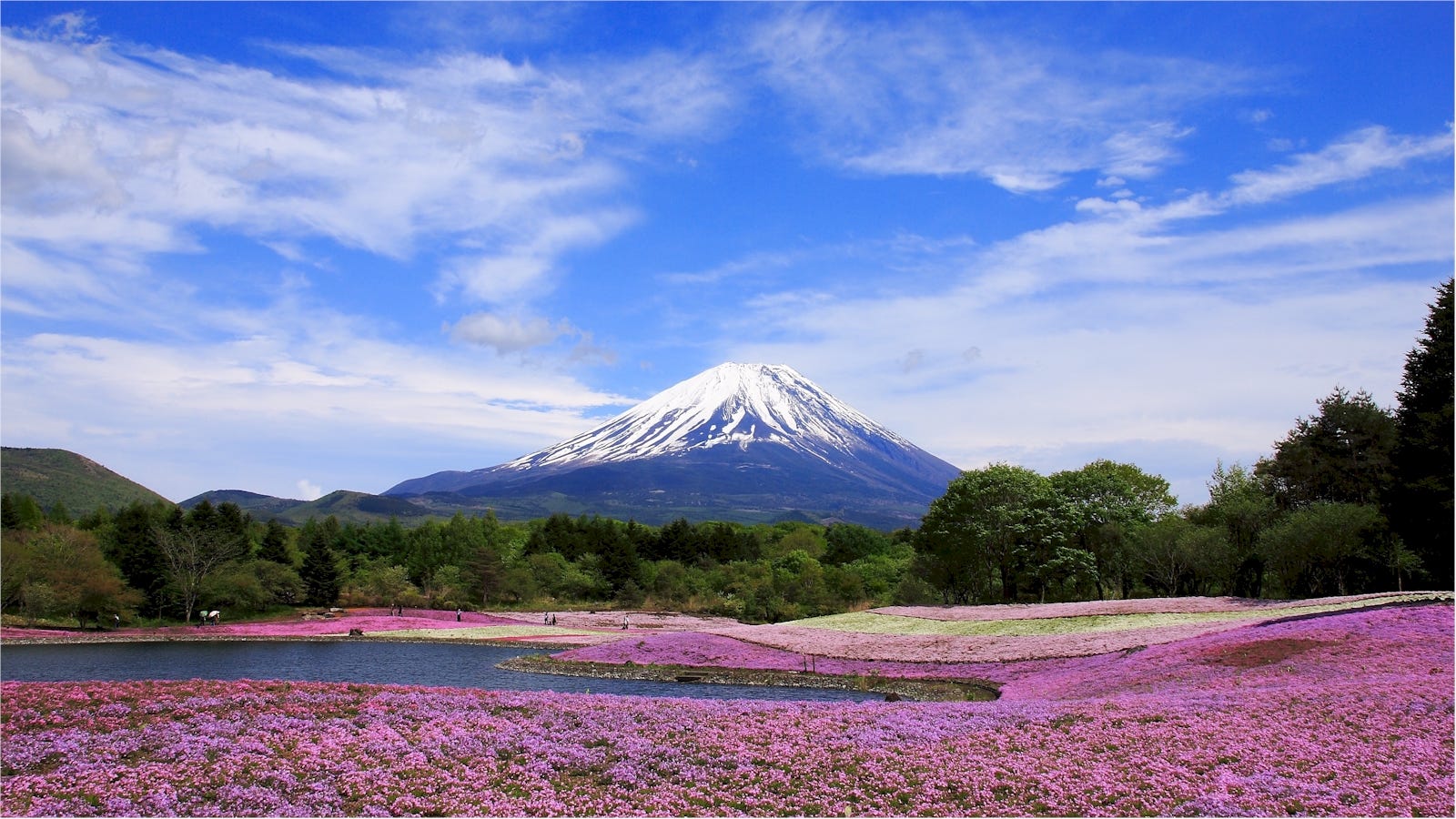 Yamanashi : 10 Best Things to Do in 2019 – Japan Travel Guide -JW Web