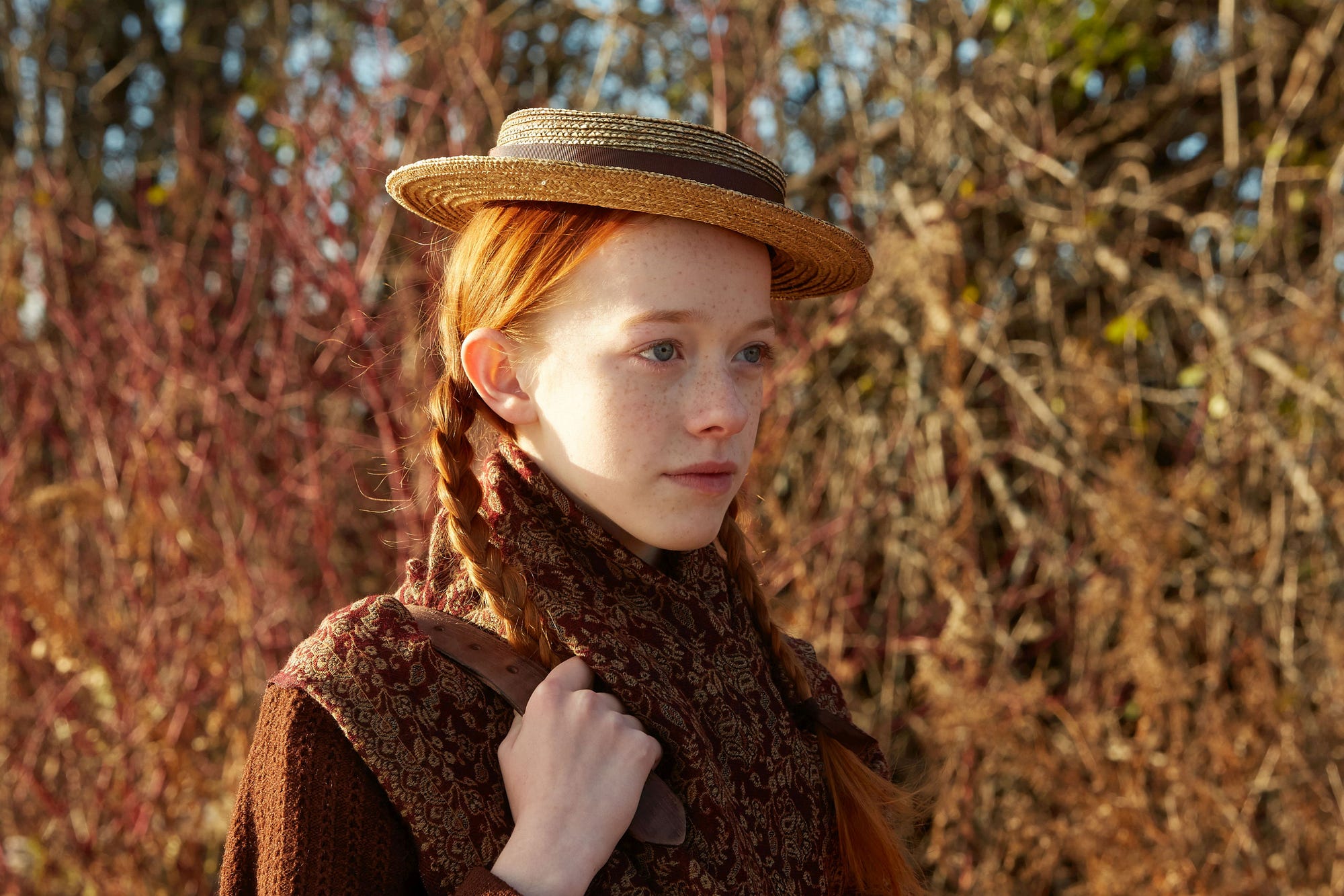 Anne Of Green Gables 2 baldcirclelawyer