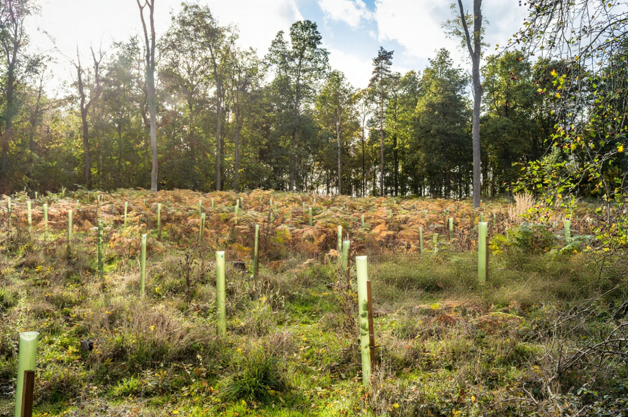 Proof > Promise: Why Climate Restoration Must Be Backed by Public Evidence