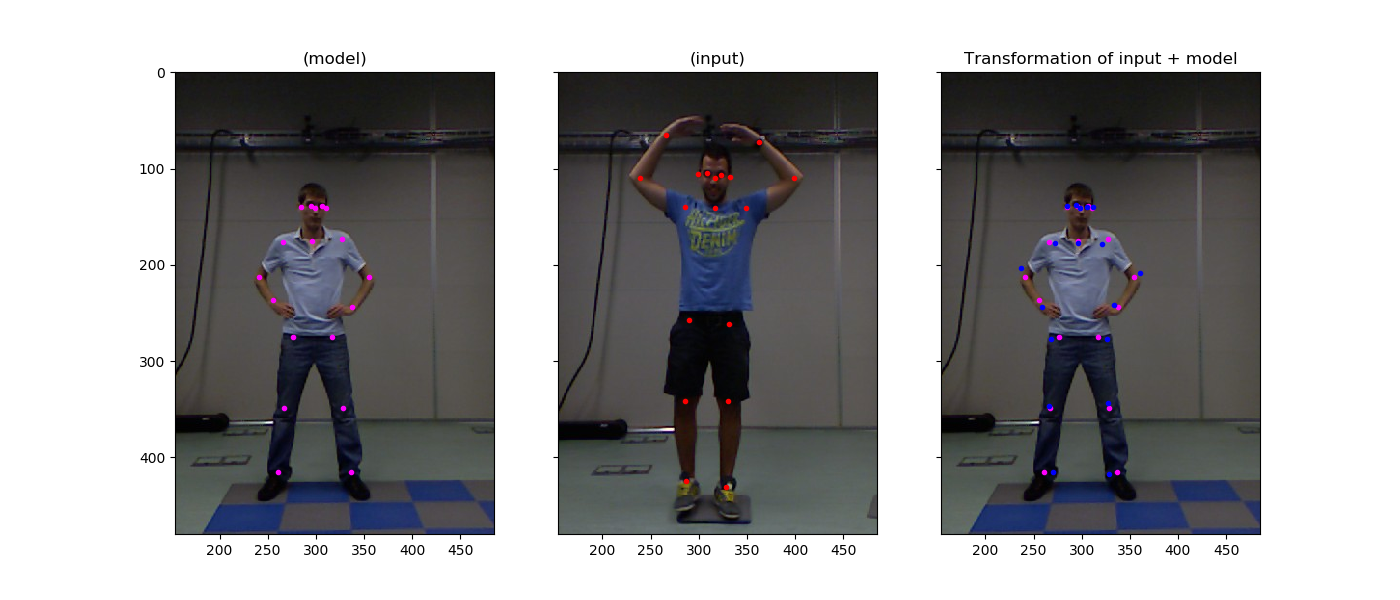 Single Pose Comparison — a fun application using Human Pose Estimation ...