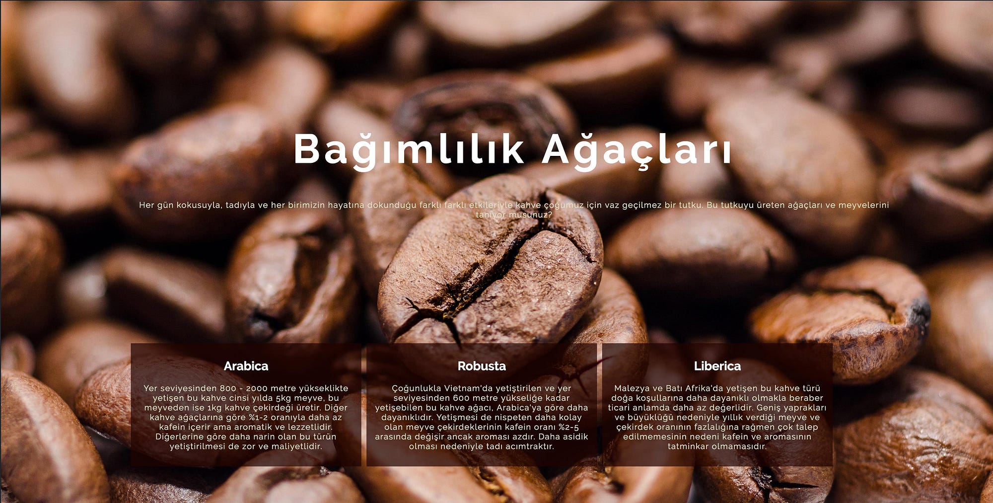 Sayfanın başı CSS: içerik konumlandırma Sayfanın başı CSS: içerik konumlandırma