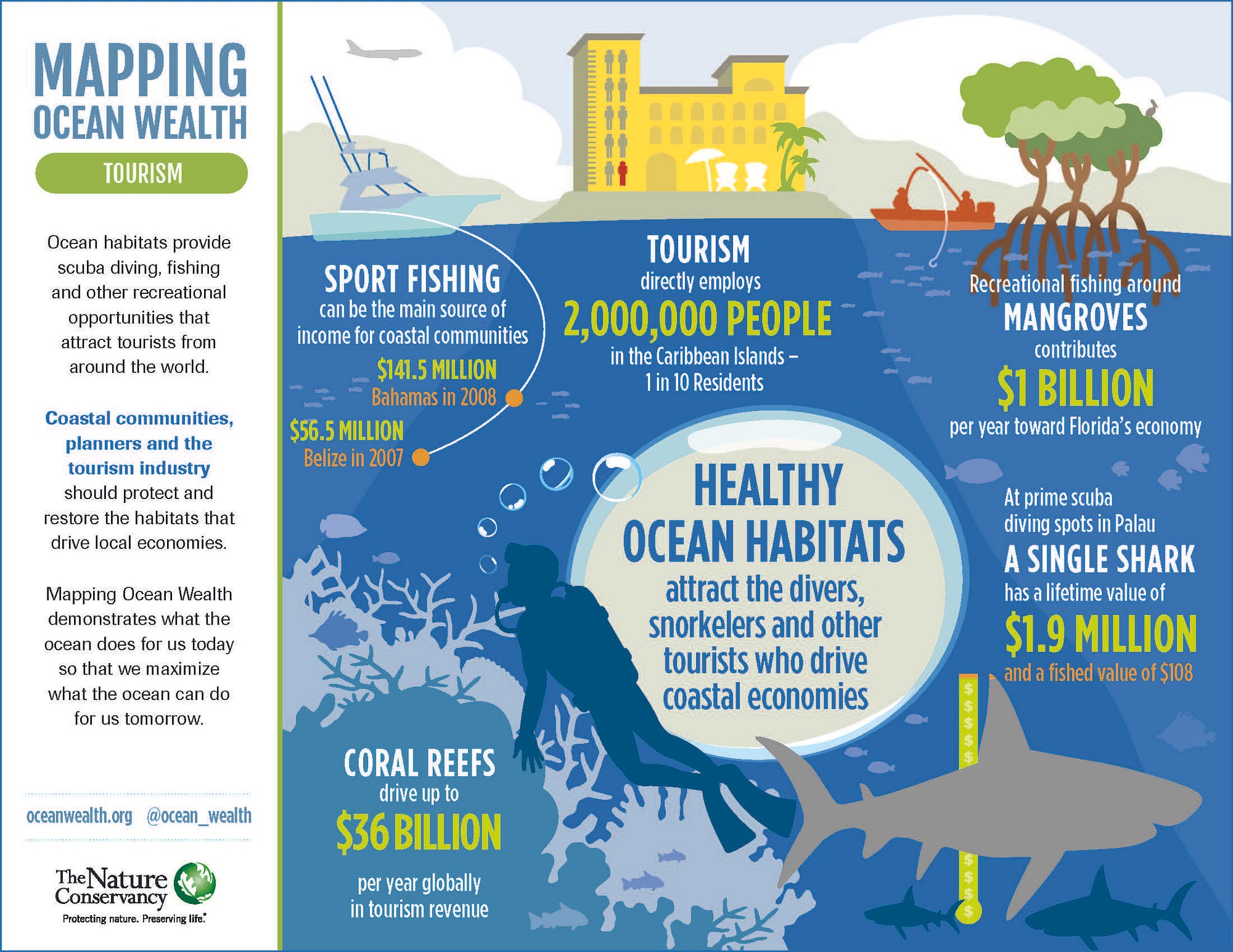 Healthy Coral Reefs Are Good for Tourism — and Tourism Can Be Good for