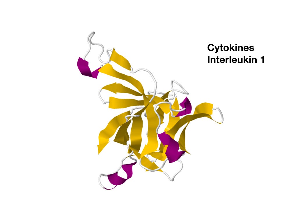 [Интерлейкин 1](https://en.wikipedia.org/wiki/Interleukin-1_family) (IL-1). Сигнальный белок.