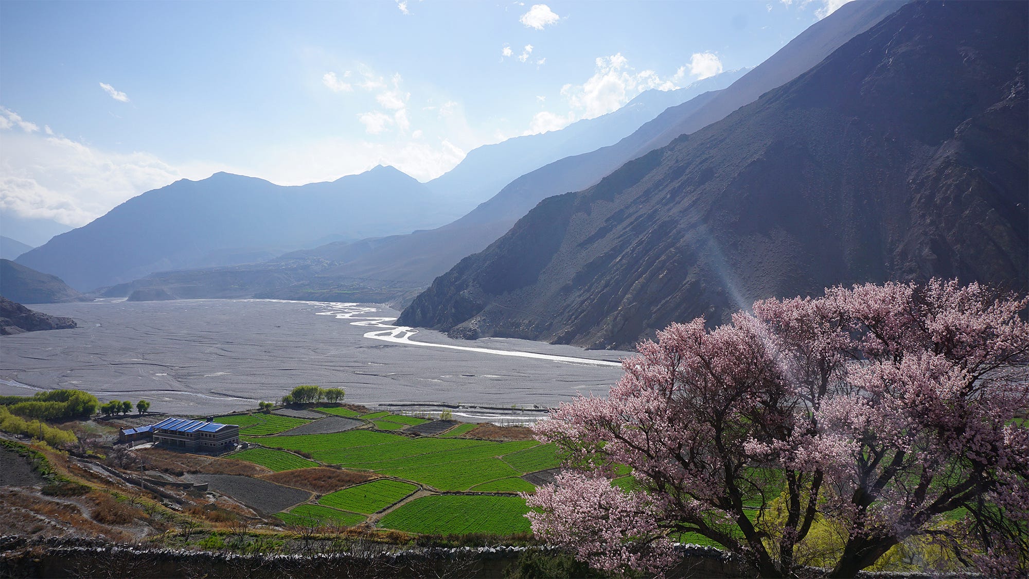 Overlooking Kagbeni’s barley fields on the edge of town.