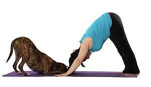 [Source](https://en.wikipedia.org/wiki/Doga_(yoga))