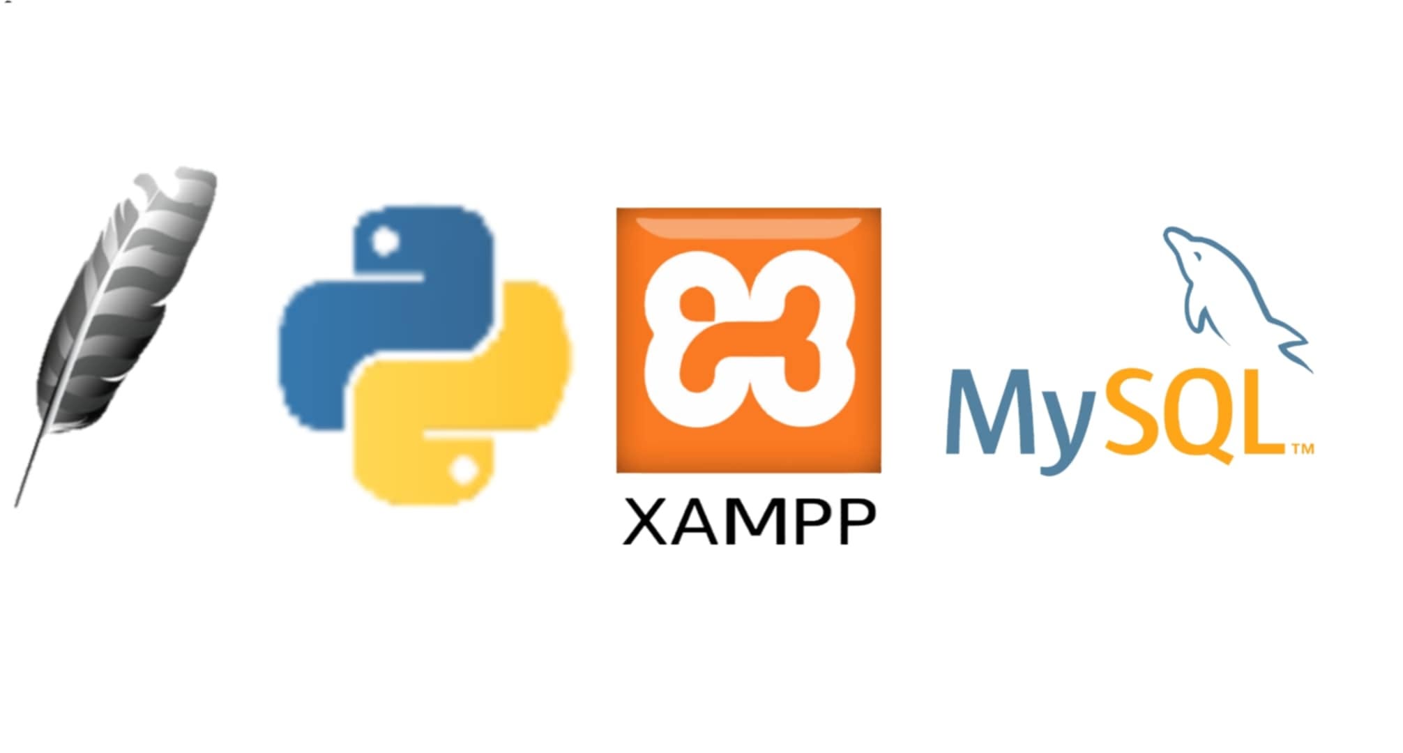 Student Management System Project in Python