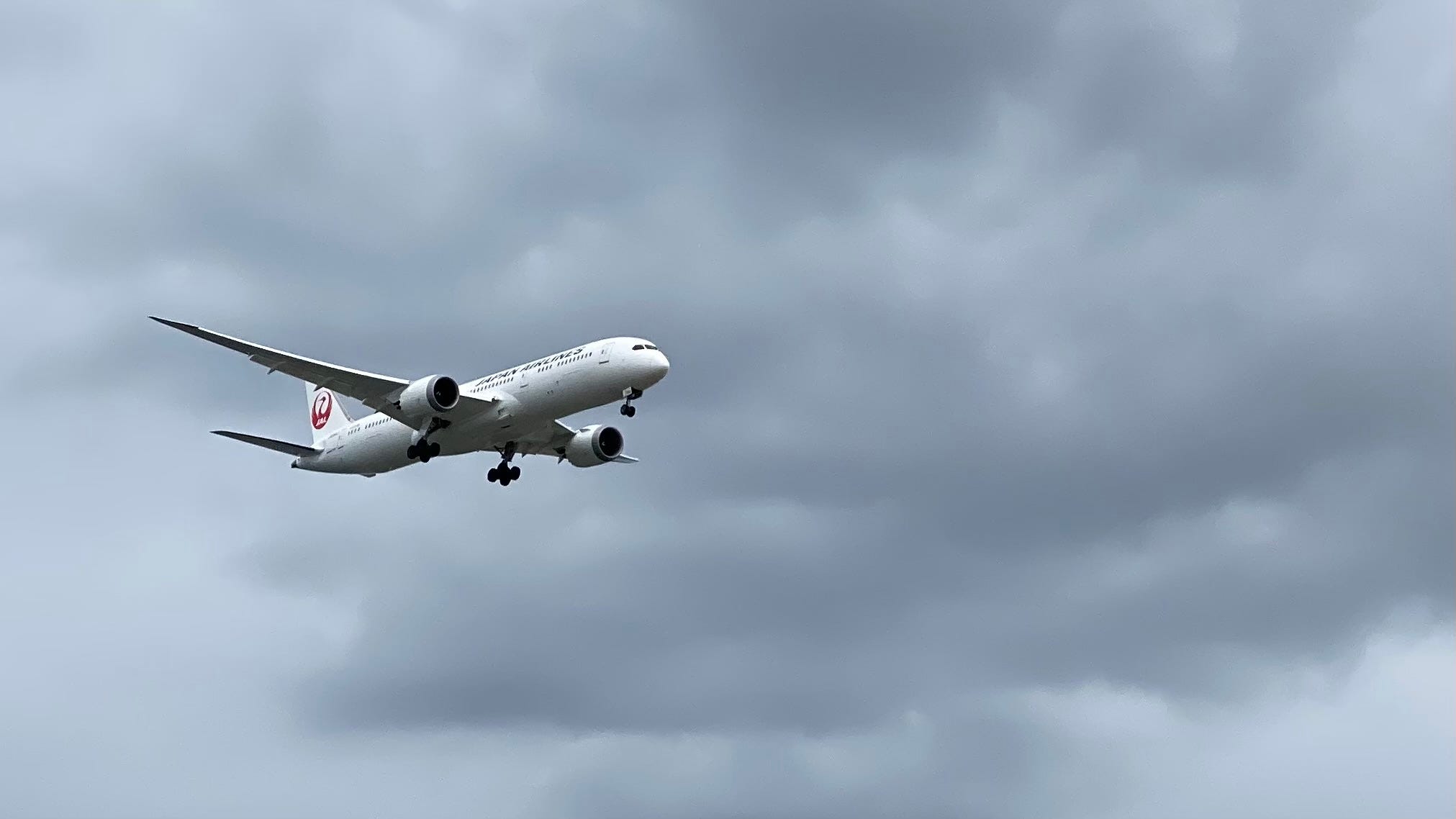 How I Set Up a FlightRadar24 Tracker at Home (and Why You Might Want T