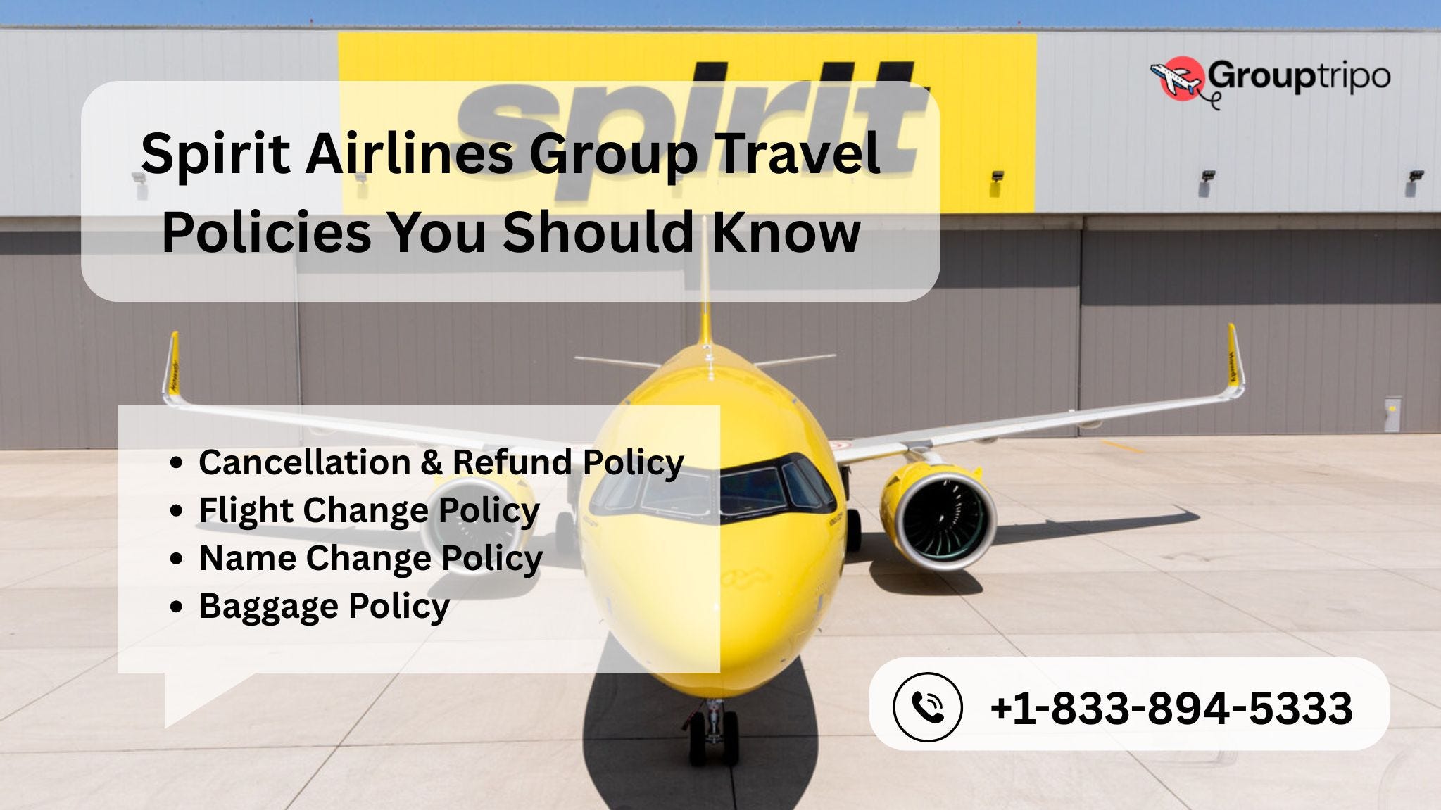 Spirit Airlines Group Travel Policies You Should Know