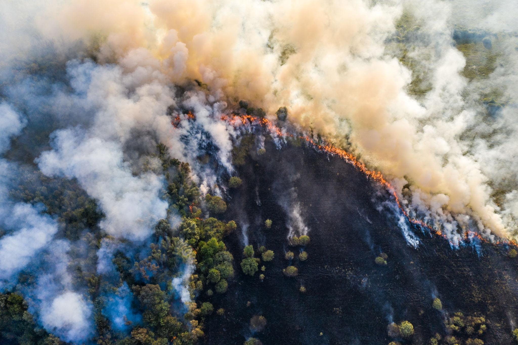 Forest Fire Detection Using IoT Sensors and Machine Learning: A Smart Approach for Early Wildfire…