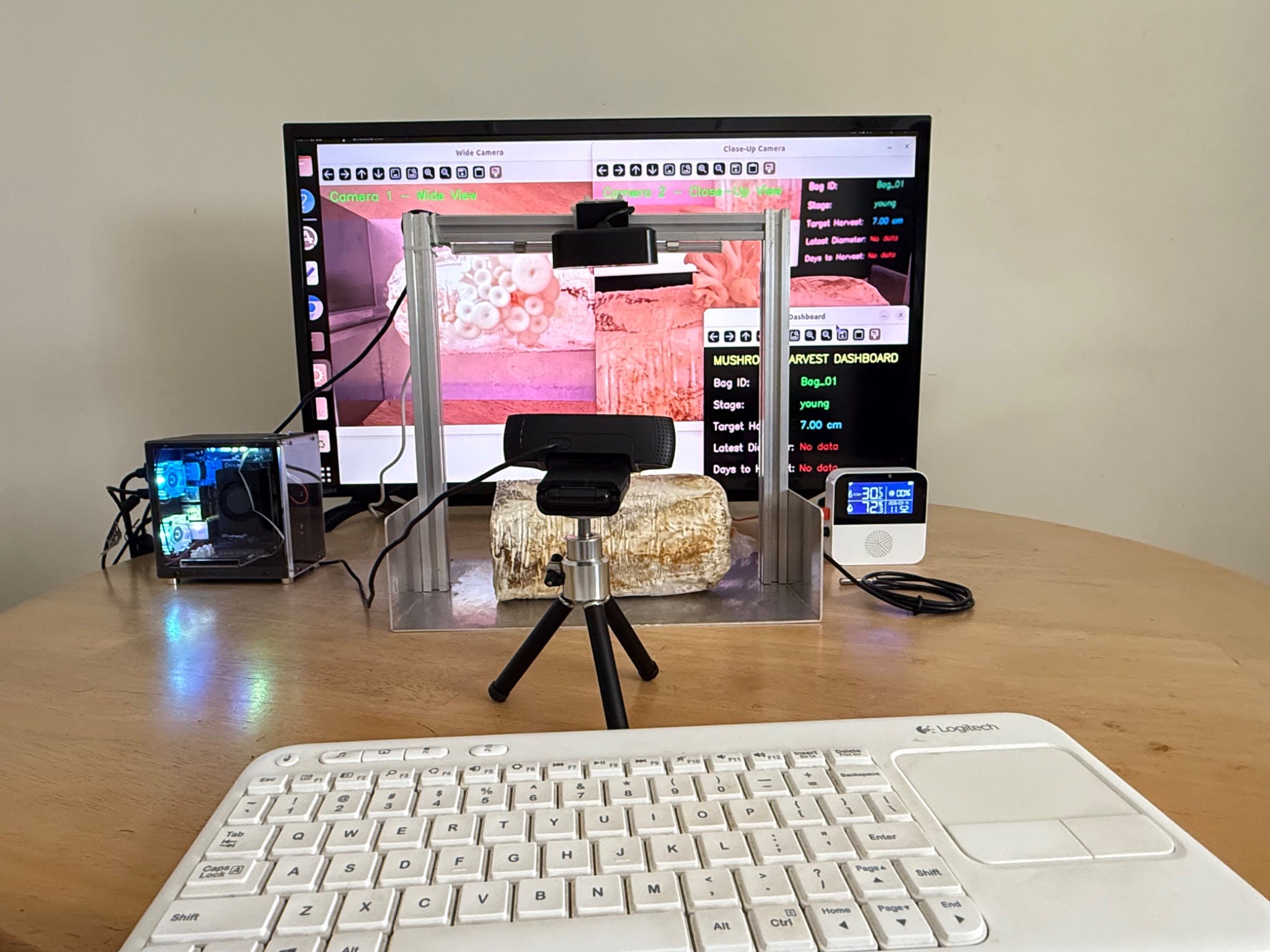 Computer Vision-Based Mushroom Harvest Prediction System Using NVIDIA Jetson Orin Nano