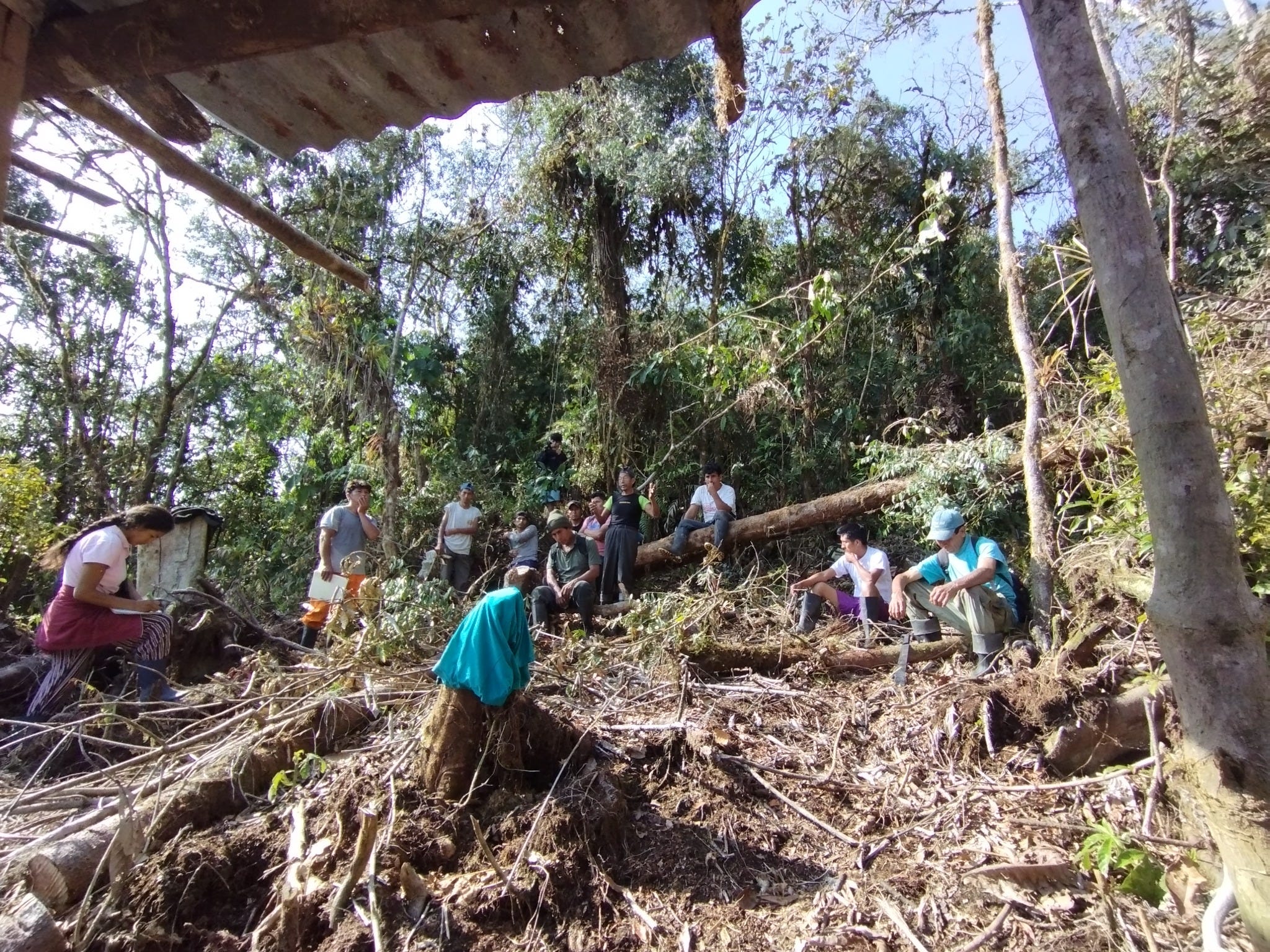 Reforestation Is Ecological Restoration: Rebuilding Forest Functions for Climate and Community…