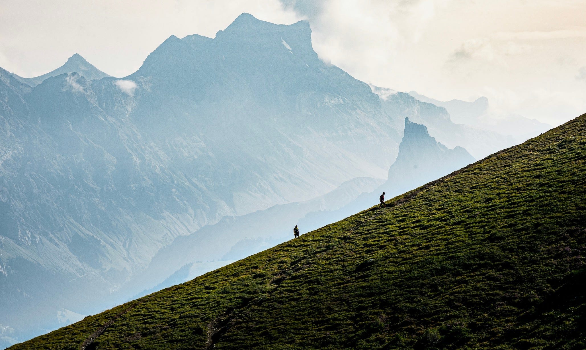 The Survival Life Rules Nobody Teaches You (But Everyone Needs for 2026)
