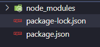 Initiate the package JSON