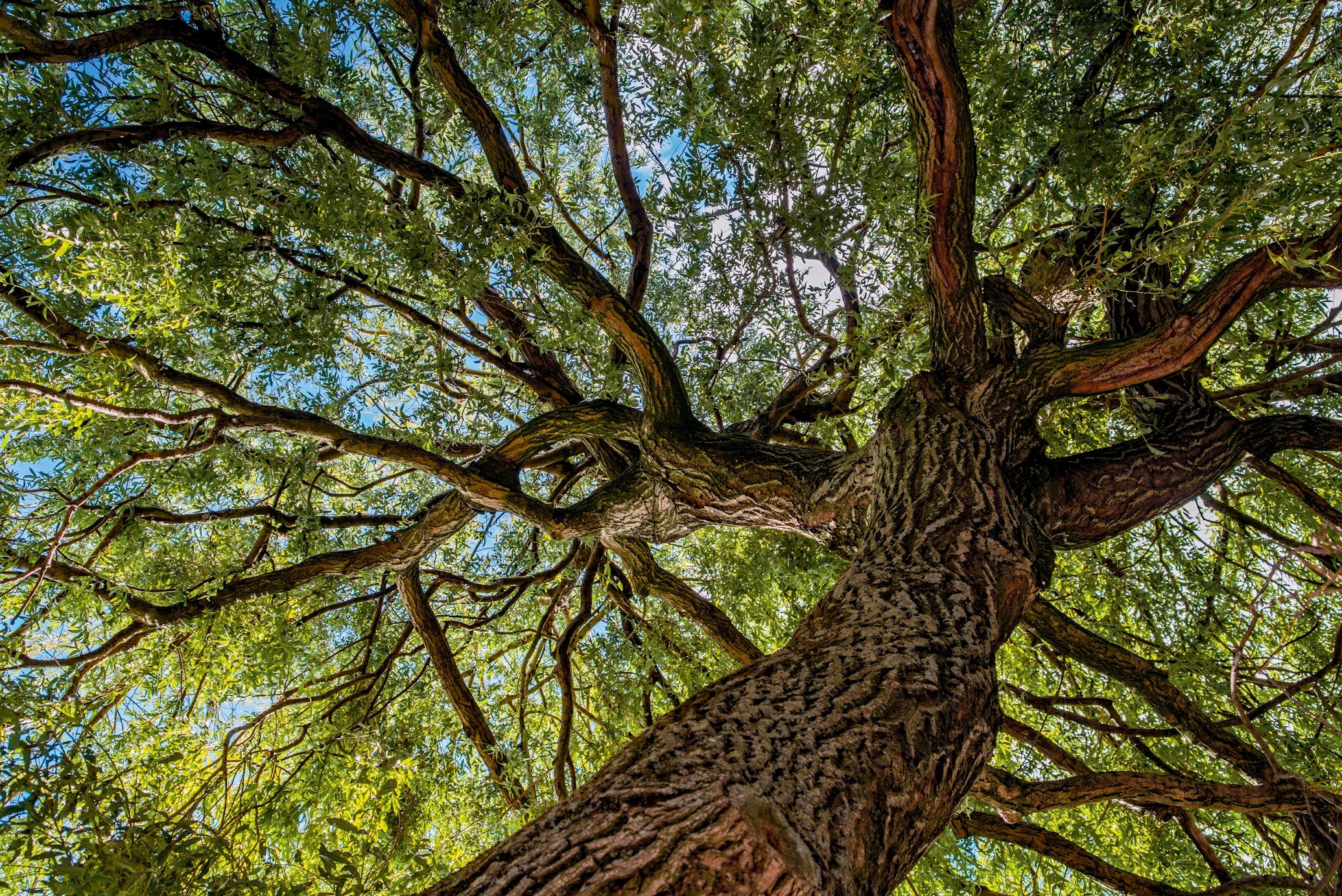 Unifying SQL Transformation Logic with a Custom Semantic Model