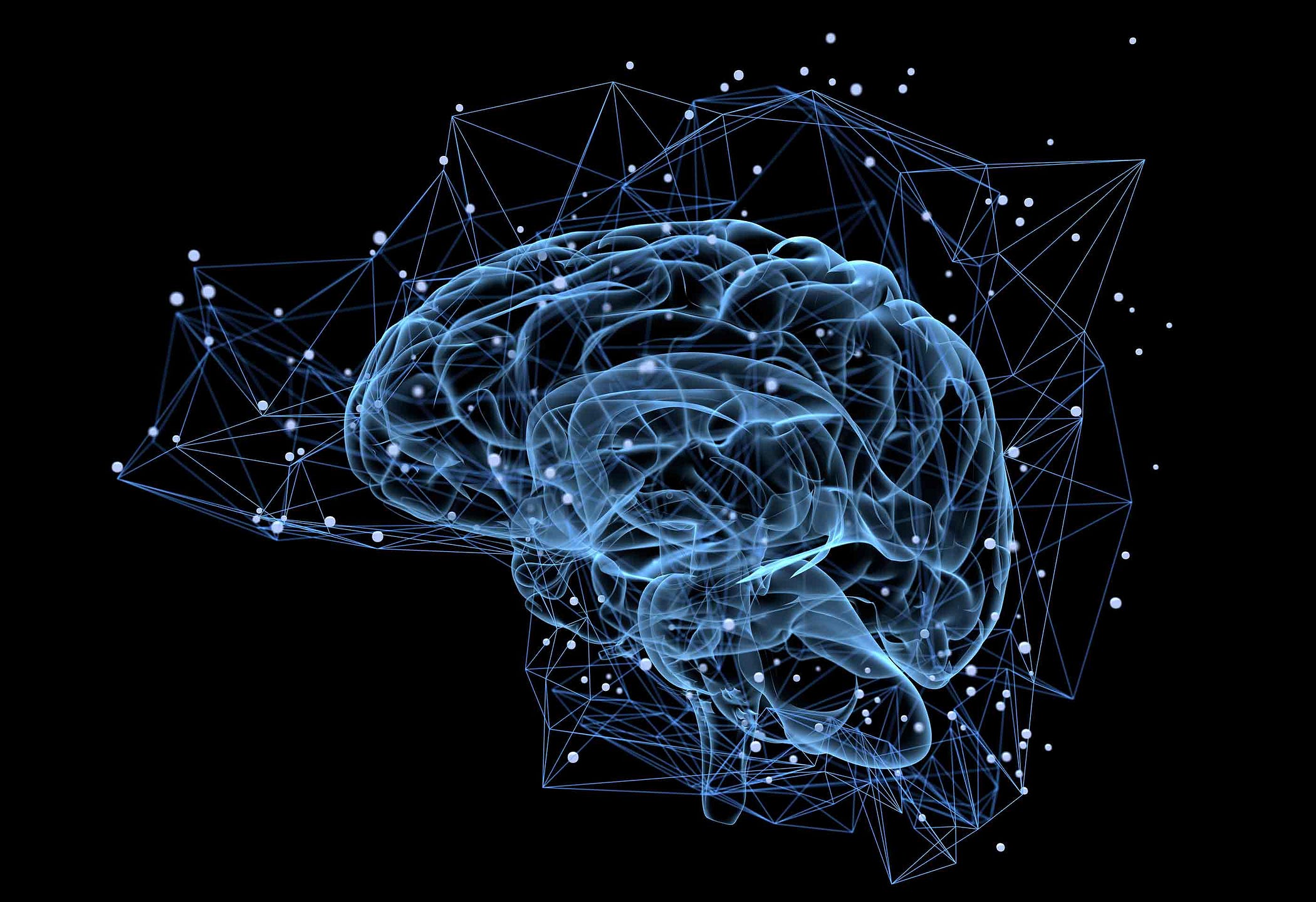 How Space Changes Your Brain