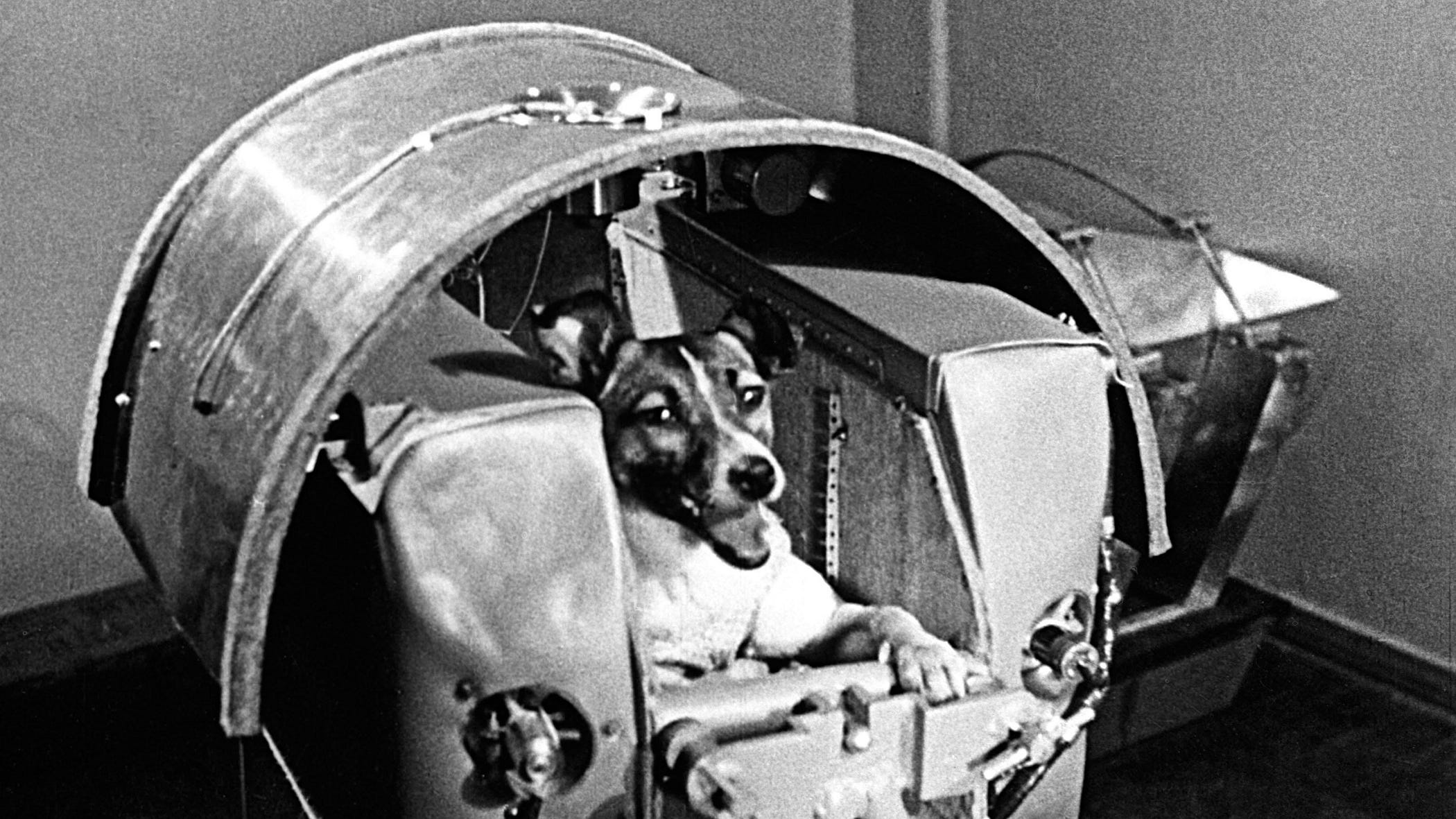 Laika