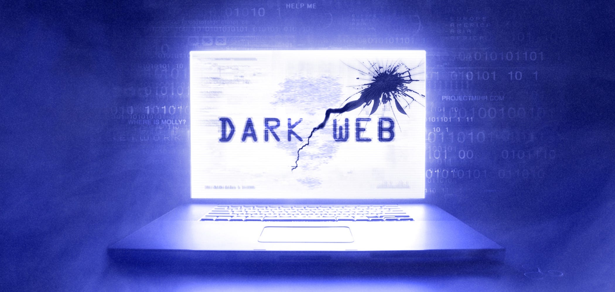 The Playpen Case: Unmasking the Dark Web’s Largest Child Exploitation Network