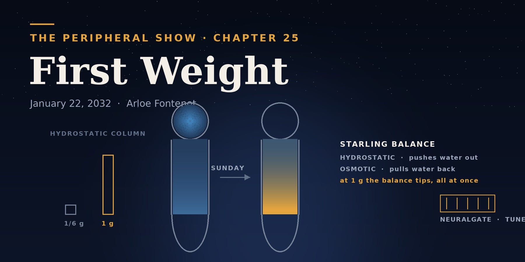 First Weight First Weight