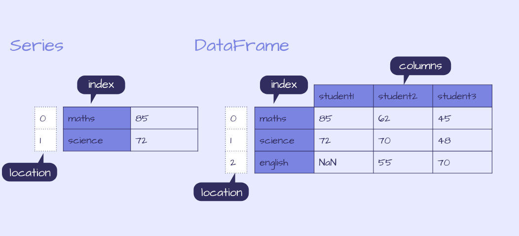 Example of a pandas Series and DataFrame