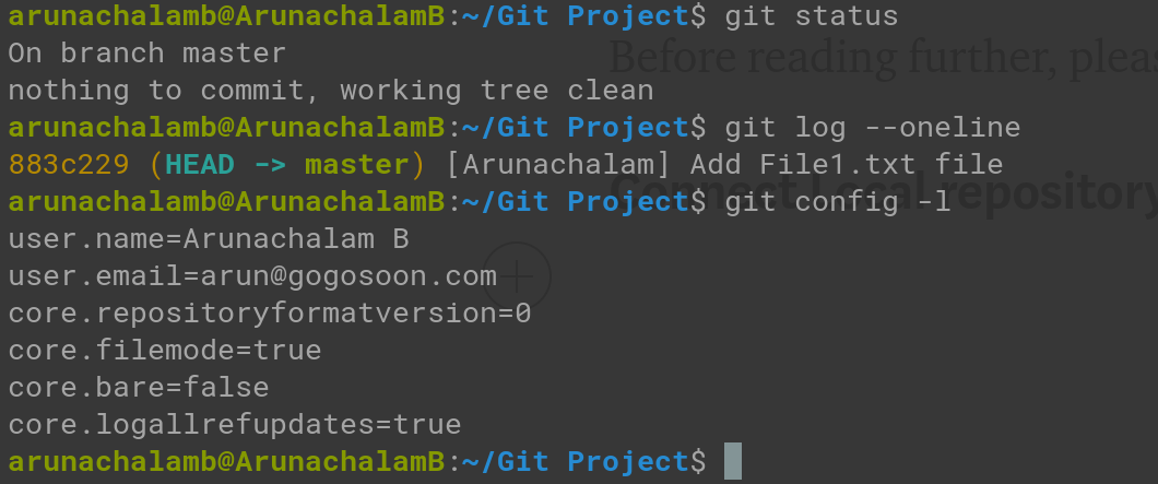 Current State of Git Repository