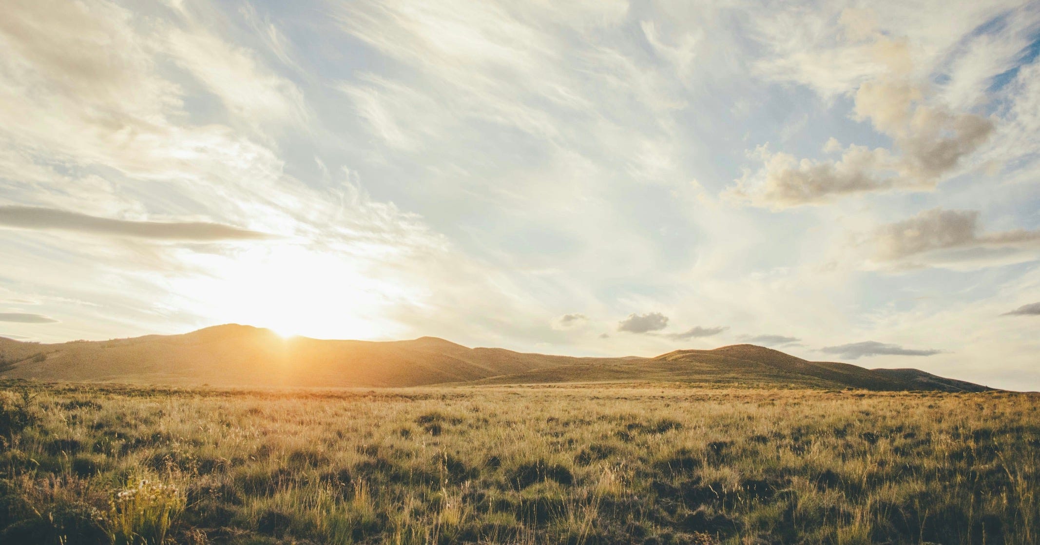 Plato Figured Out Why Your Anger Is Almost Always a Waste of Time