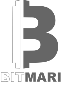 bitmari-logo