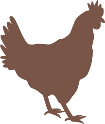 Ilustração de uma galinha marrom.