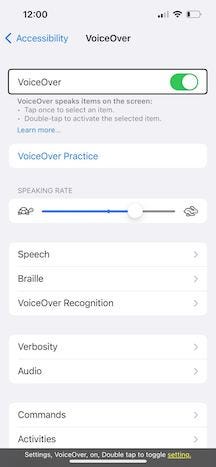 A screenshot showing the VoiceOver settings screen on iOS.