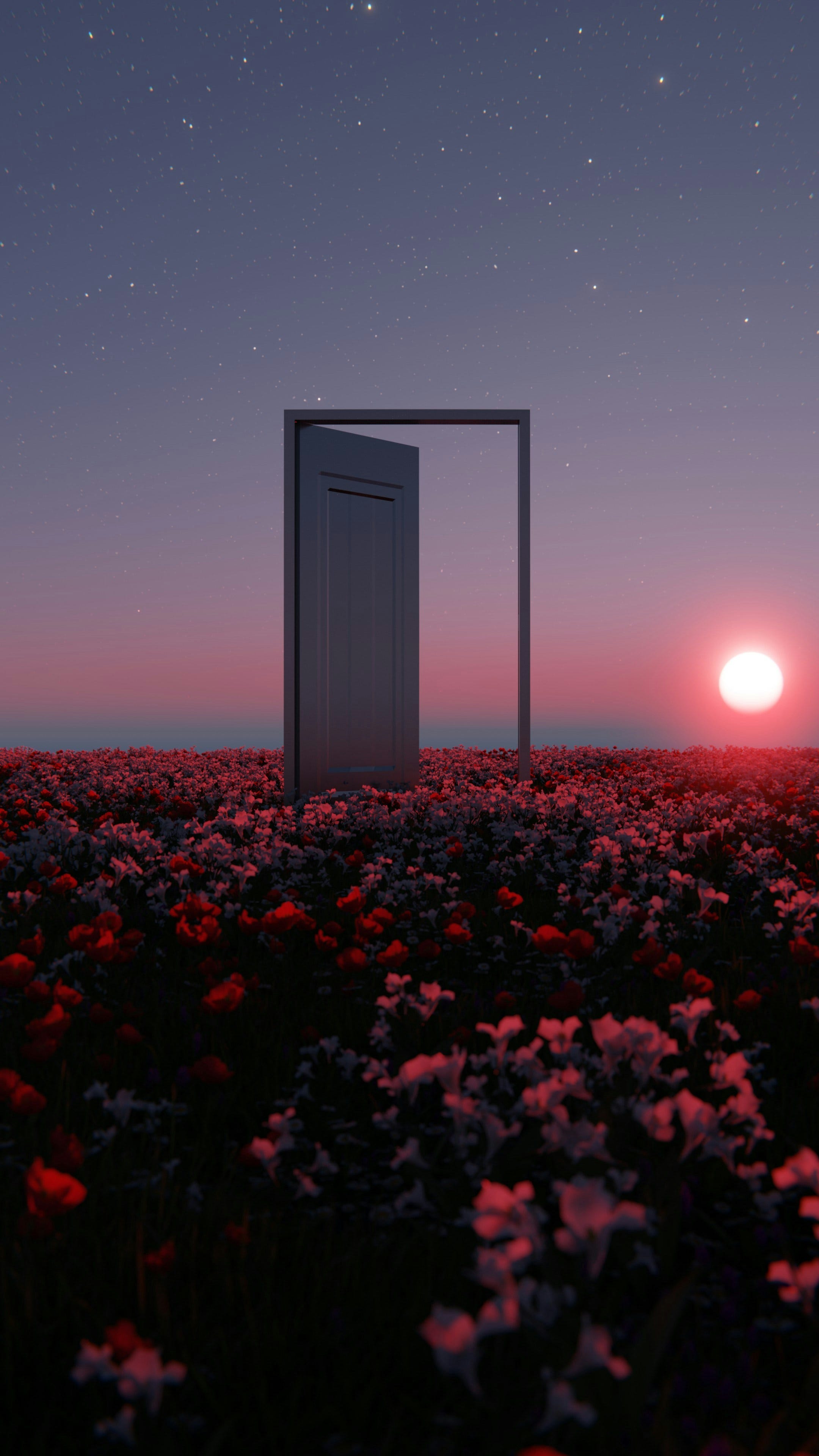 The Ghost in the Machine: Why We Suffer More in Imagination Than in Reality