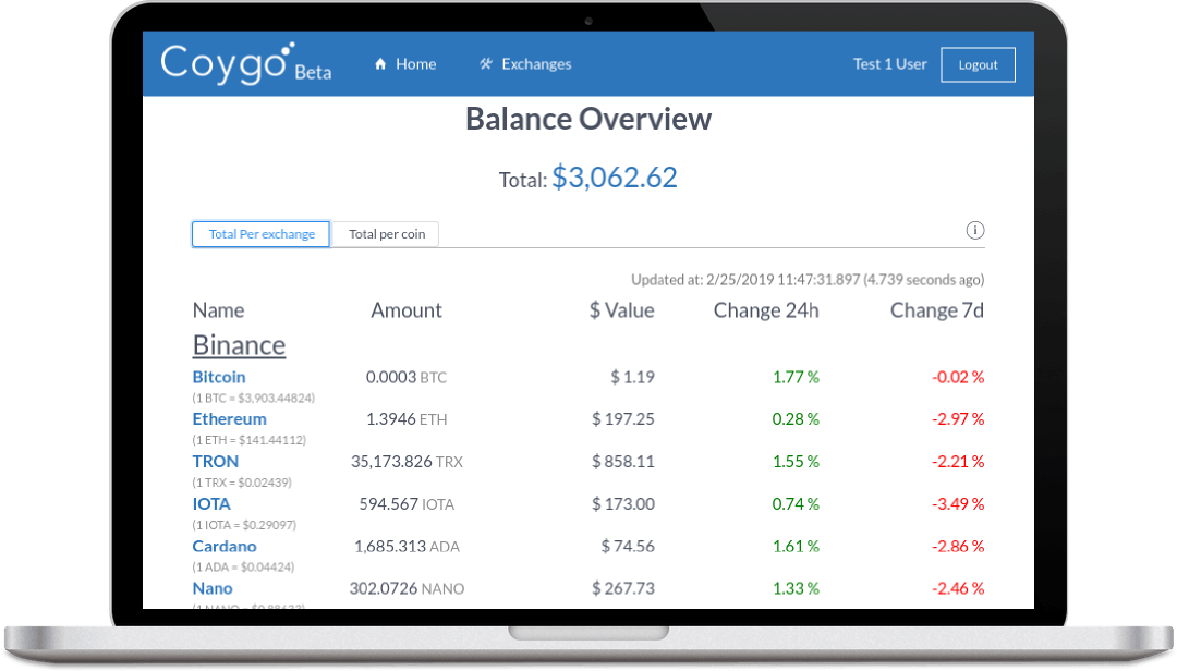 Coygo Balance Overview
