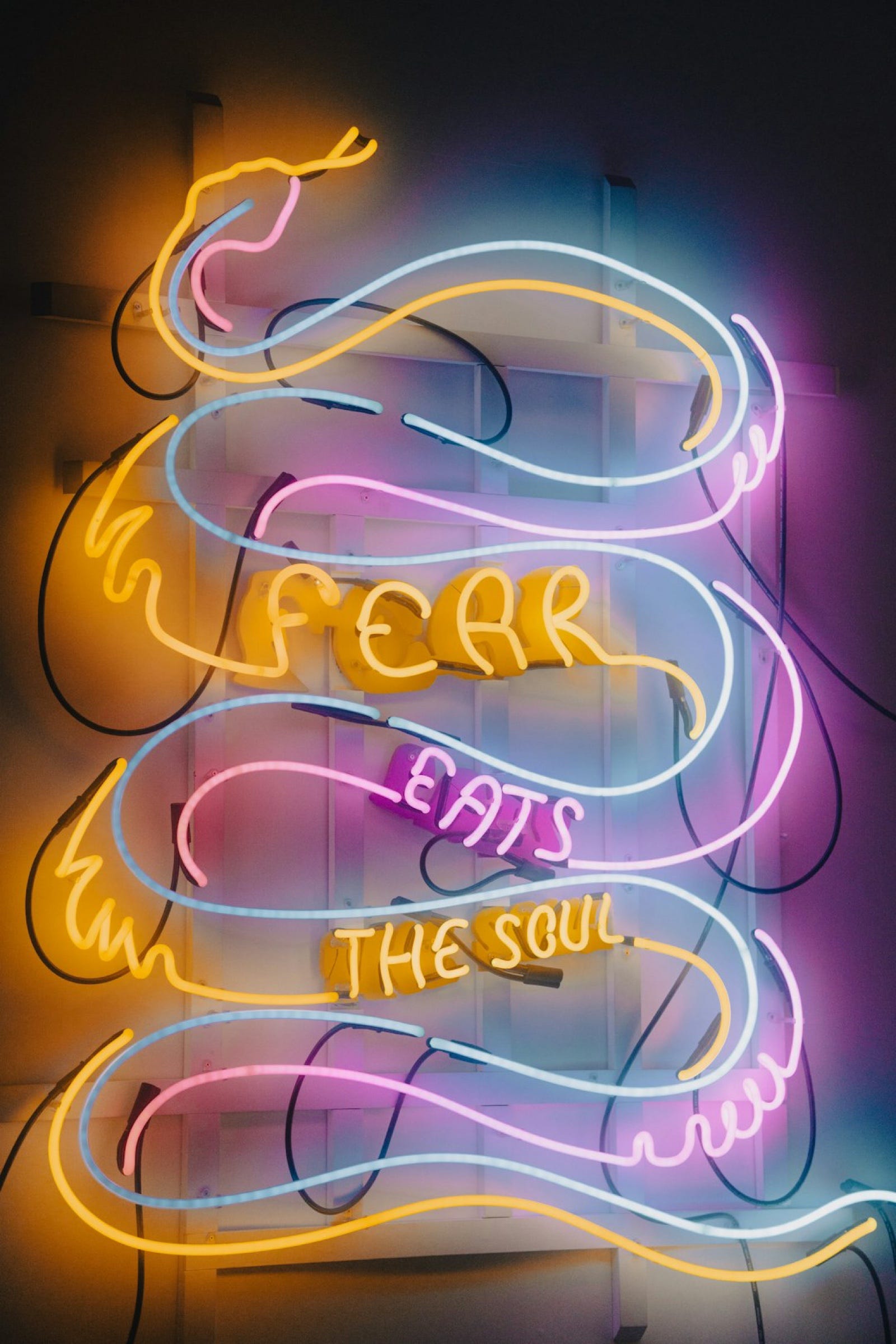 Creative Life: The gap between what you should be and the fear of what you might be!