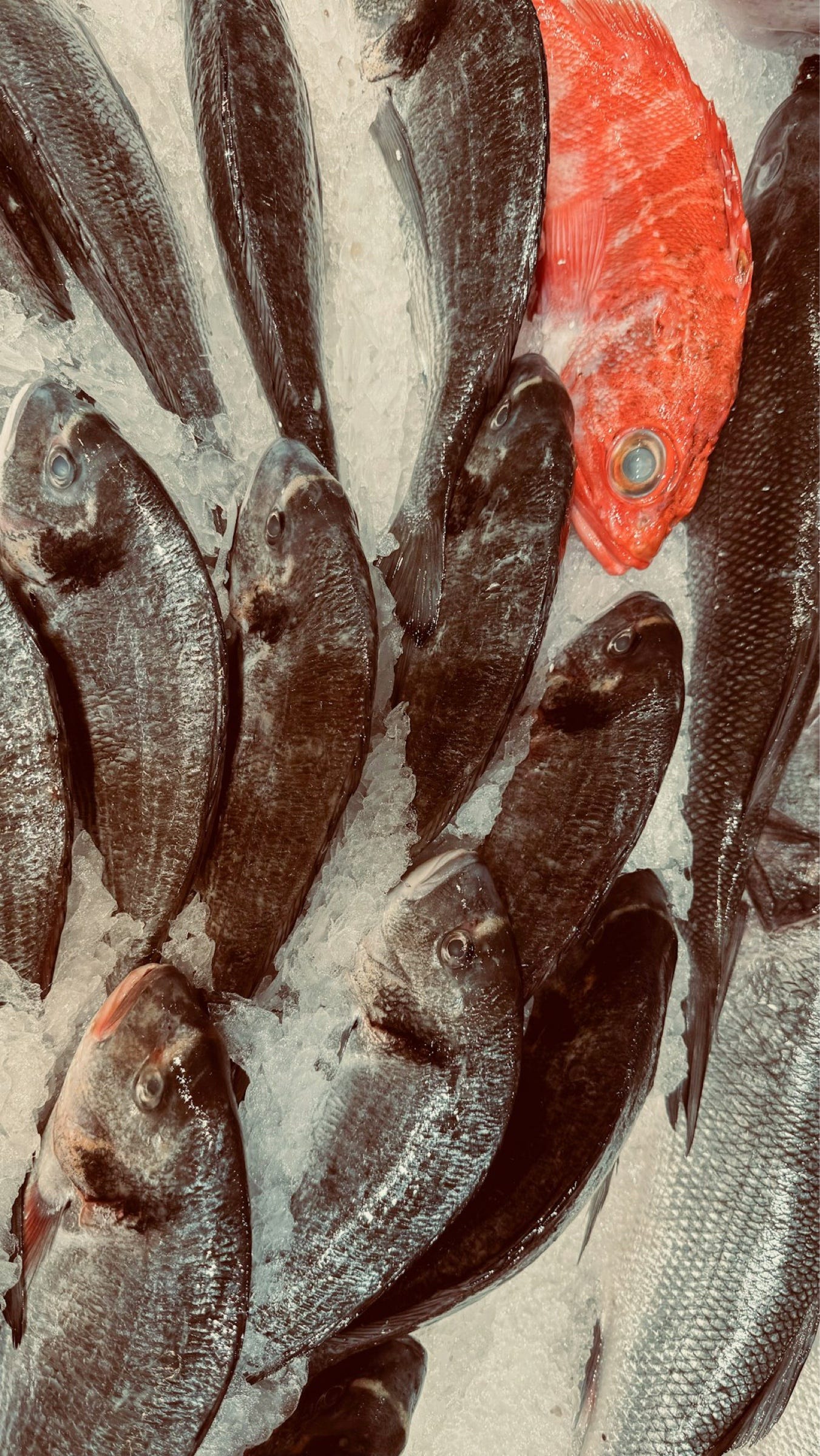 Sovereign LLM might be a Red Herring