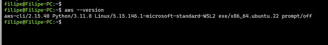 Saída do comando mostrando a versão instalado do aws-cli no seu terminal