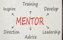 The six components of Mentorship