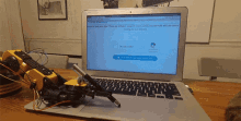 Robot on a laptop