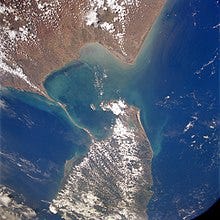 NASA satellite photo: India on top, Sri Lanka at the bottom.