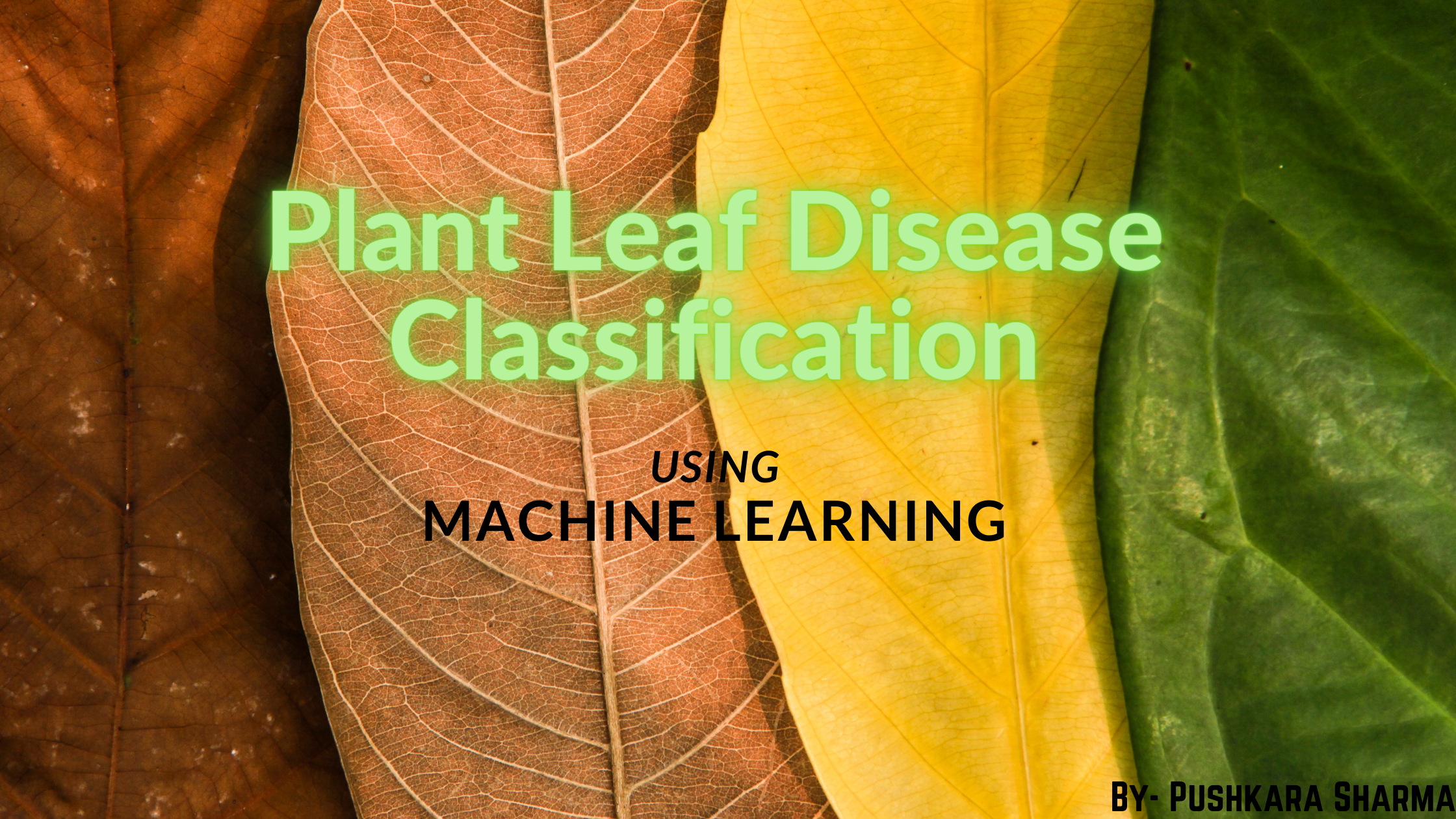 Classify Plant Leaf Diseases Using Machine Learning