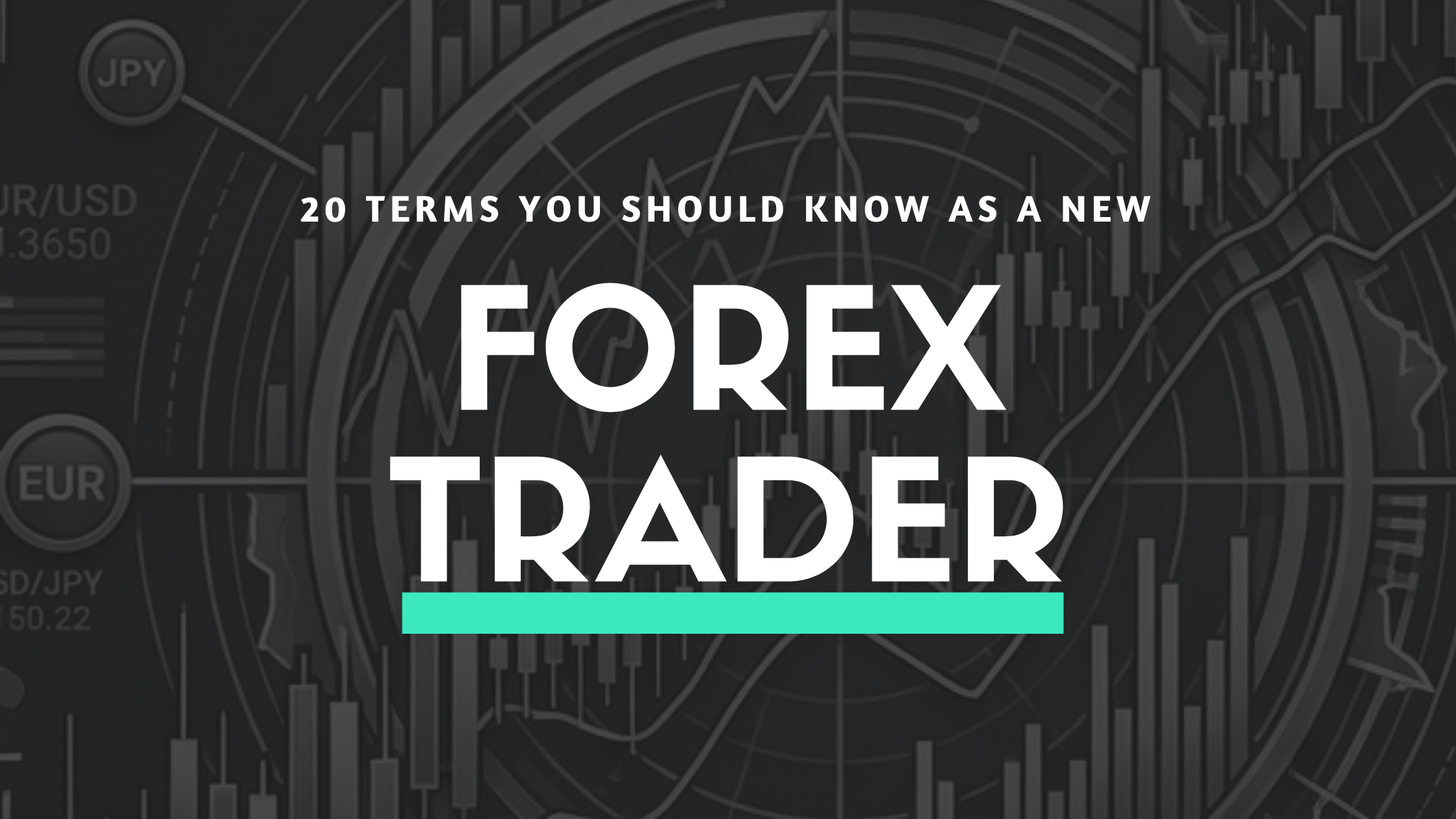 20 Terms You Should Know as a New Forex Trader