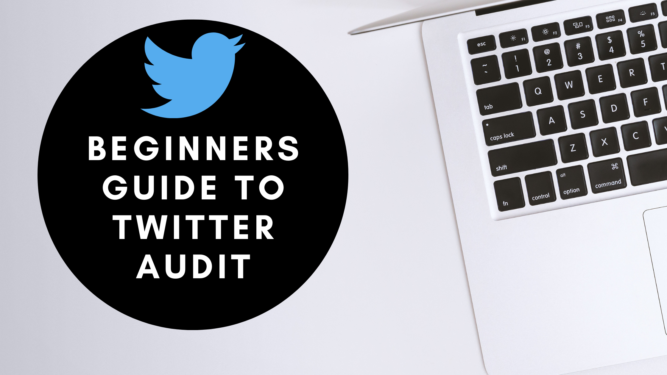 Beginners Guide to Twitter Audit
